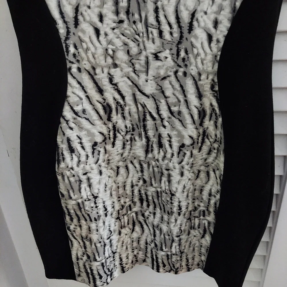 PARKER DRESS - Picture 6 of 8